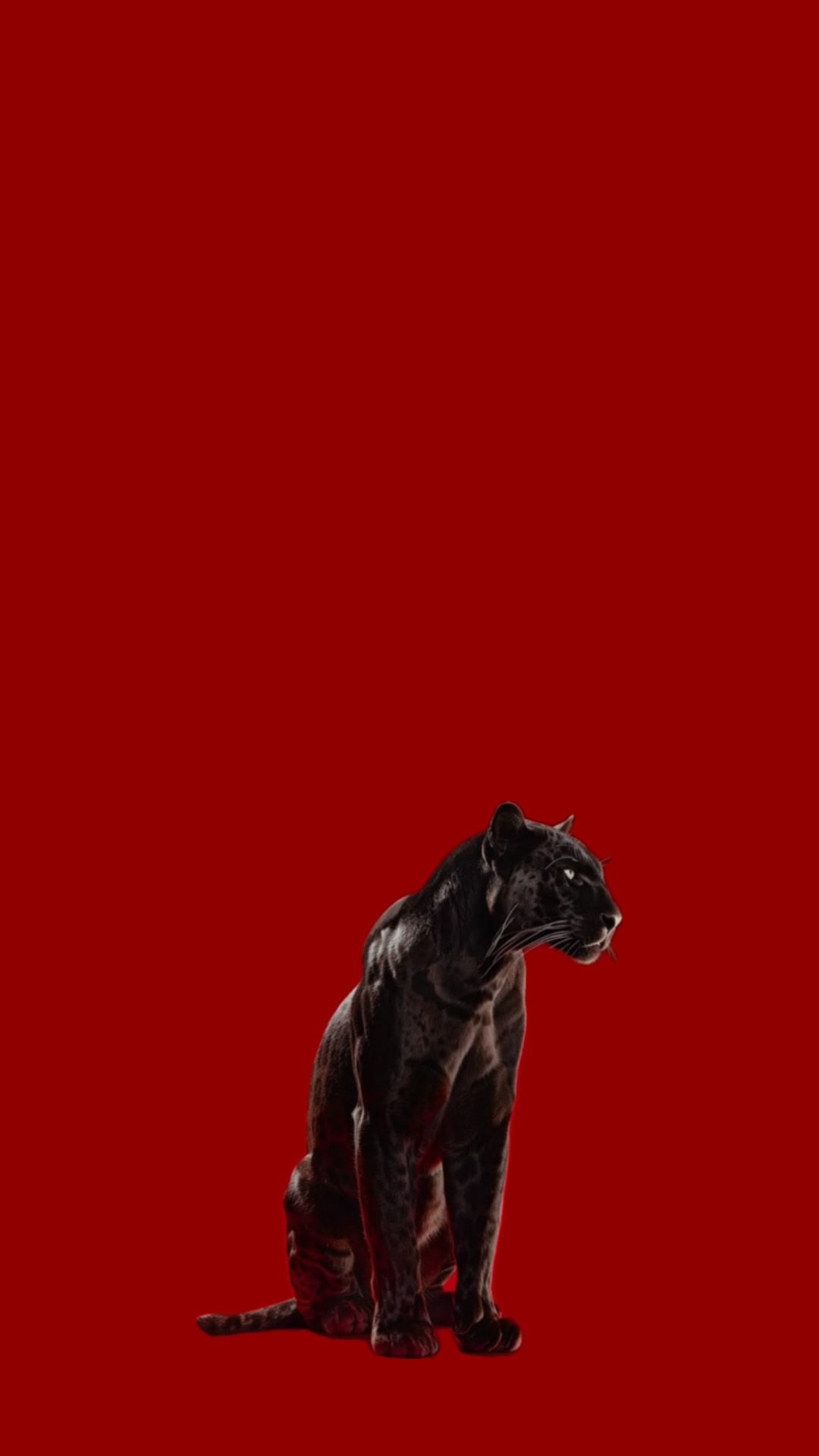 Panther with glowing eyes